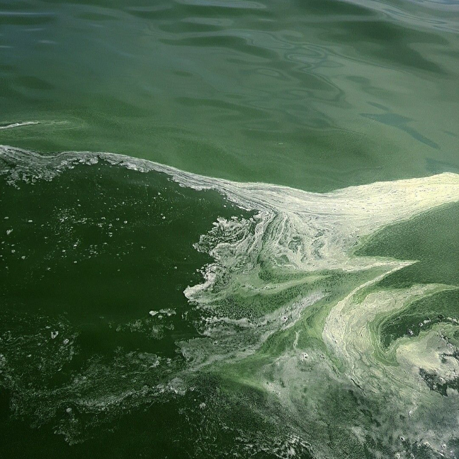 Minimalist design elements